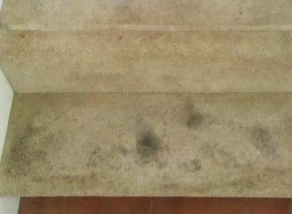 Image - Before